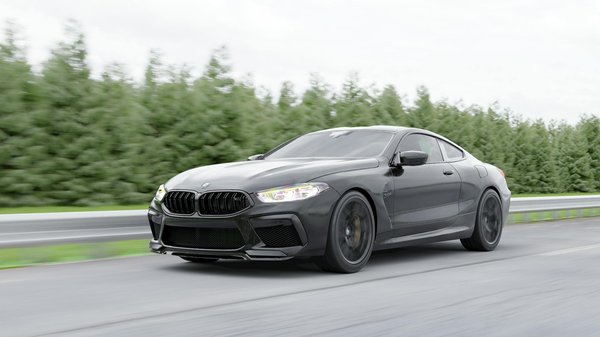 Welche Arten von Haustieren sind für Allergiker geeignet?